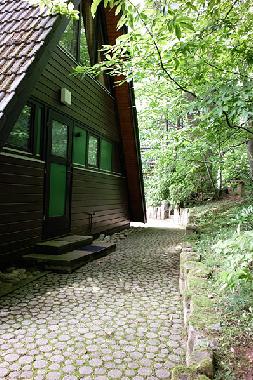 Entrance area - headed to the forest