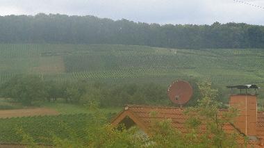 Holiday Apartment in Schliengen - Liel (Black Forest) or holiday homes and vacation rentals