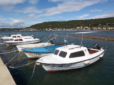 Holiday House in Insel-Rab (Primorsko-Goranska) or holiday homes and vacation rentals