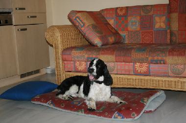 Holiday House in Nuevo Portil (Huelva) or holiday homes and vacation rentals