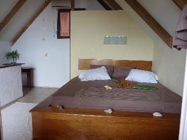 Holiday House in bocas del toro (Bocas del Toro) or holiday homes and vacation rentals