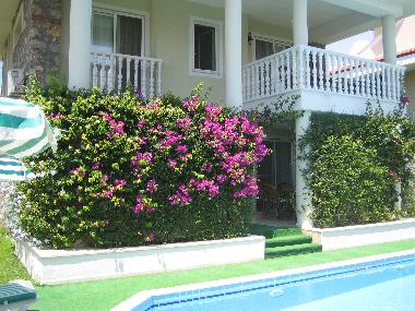 Holiday House in CALIS (Mugla) or holiday homes and vacation rentals