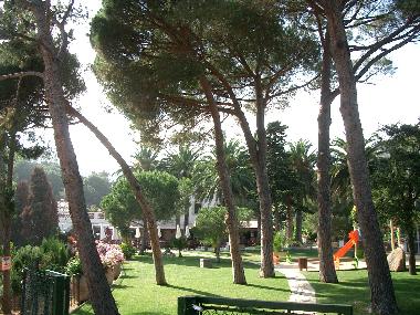 Holiday Apartment in Rosamar (Girona) or holiday homes and vacation rentals