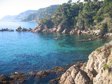 Holiday Apartment in Rosamar (Girona) or holiday homes and vacation rentals