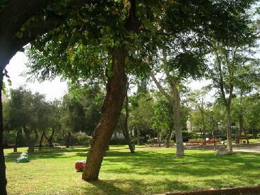 Holiday Apartment in jerusalem (Yerushalayim (Jerusalem)) or holiday homes and vacation rentals