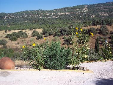 Holiday Apartment in Robledo de Chavela (Madrid) or holiday homes and vacation rentals