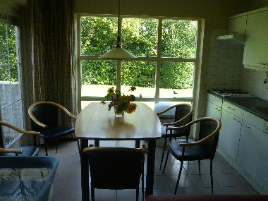 Dining area and kitchen in the living room