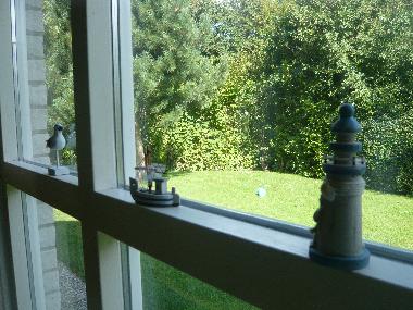 Window of the living room