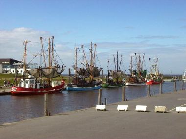 Holiday House in Dorum-Neufeld (Nordsee-Festland / Ostfriesland) or holiday homes and vacation rentals