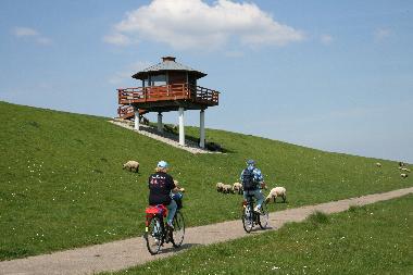 Holiday House in Dorum-Neufeld (Nordsee-Festland / Ostfriesland) or holiday homes and vacation rentals