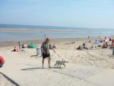 Chalet in Renesse (Zeeland) or holiday homes and vacation rentals