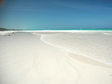 Holiday House in Diani (Coast) or holiday homes and vacation rentals