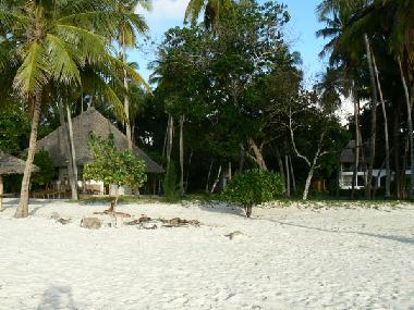 Holiday House in Diani (Coast) or holiday homes and vacation rentals