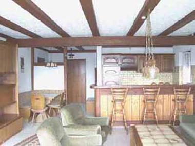 Holiday Apartment in Brenden (Black Forest) or holiday homes and vacation rentals
