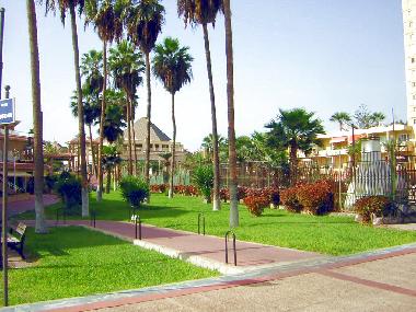 Holiday House in Los Christianos (Teneriffa) or holiday homes and vacation rentals