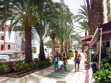 Holiday House in Los Christianos (Teneriffa) or holiday homes and vacation rentals