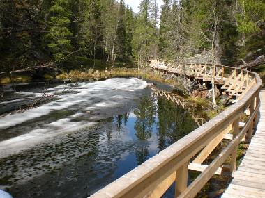 Pyh�-Luosto national park in May
