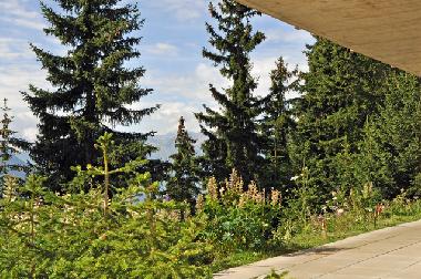 Holiday Apartment in Bettmeralp (Aletsch) or holiday homes and vacation rentals