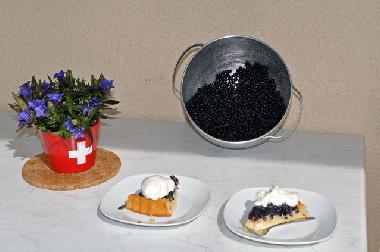 Holiday Apartment in Bettmeralp (Aletsch) or holiday homes and vacation rentals