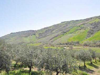 Holiday House in Tre ciminiere di Atri (Teramo) or holiday homes and vacation rentals