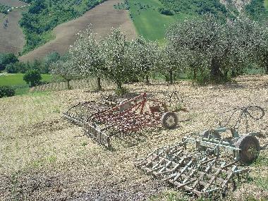 Holiday House in Tre ciminiere di Atri (Teramo) or holiday homes and vacation rentals