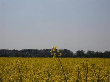 Holiday Apartment in Kranenburg-Mehr (Niederrhein) or holiday homes and vacation rentals