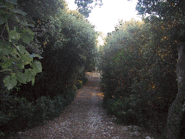 Bed and Breakfast in Sassari (Sassari) or holiday homes and vacation rentals