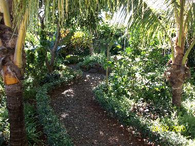 Holiday Apartment in albion (Black River) or holiday homes and vacation rentals