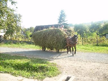 Holiday House in Roandola (Sibiu) or holiday homes and vacation rentals