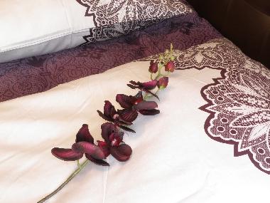 Holiday Apartment in Berlin (Prenzlauer Berg) or holiday homes and vacation rentals