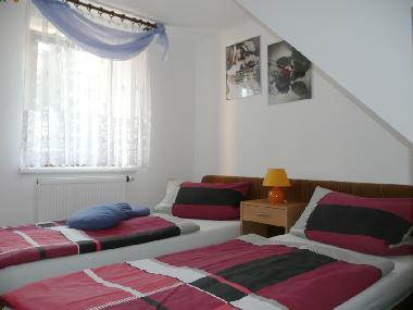 Holiday Apartment in Schmiedefeld (Thuringian forest) or holiday homes and vacation rentals