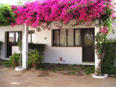 Holiday House in Lagos (Algarve) or holiday homes and vacation rentals