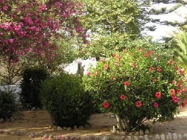 Holiday House in Lagos (Algarve) or holiday homes and vacation rentals