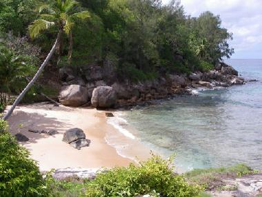 Holiday House in North Point (Glacis) or holiday homes and vacation rentals