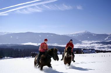 Chalet in St Michael (Lungau) or holiday homes and vacation rentals