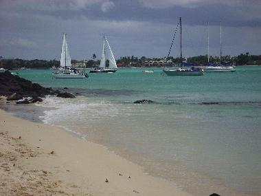 Holiday Apartment in albion (Black River) or holiday homes and vacation rentals