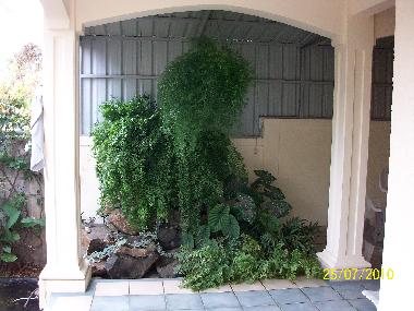 Holiday Apartment in albion (Black River) or holiday homes and vacation rentals