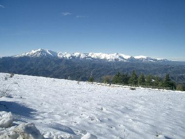 Holiday Apartment in Colonnella (Teramo) or holiday homes and vacation rentals