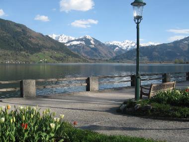 Holiday Apartment in Saalbach (Pinzgau-Pongau) or holiday homes and vacation rentals