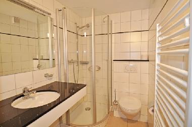 Holiday Apartment in Fiesch (Aletsch) or holiday homes and vacation rentals