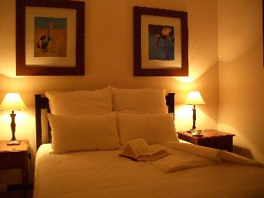 The main bedroom with queen-size bed