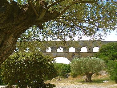 Pont du Gard & olives