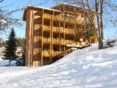 Holiday Apartment in Fiesch (Aletsch) or holiday homes and vacation rentals