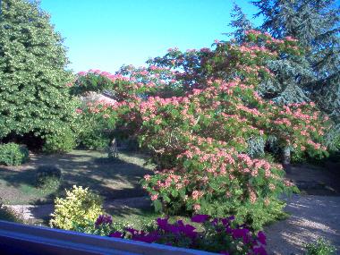 Bed and Breakfast in Souvigne (Deux-Svres) or holiday homes and vacation rentals