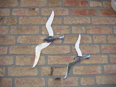 Holiday Apartment in Norddeich (Nordsee-Festland / Ostfriesland) or holiday homes and vacation rentals