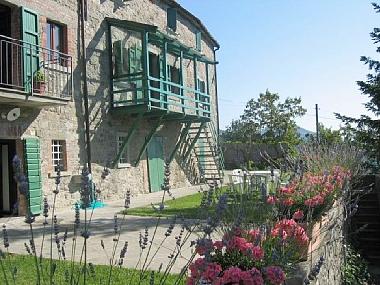 Lower Garden 