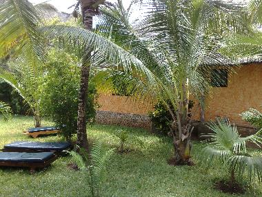 Holiday Apartment in Watamu (Coast) or holiday homes and vacation rentals