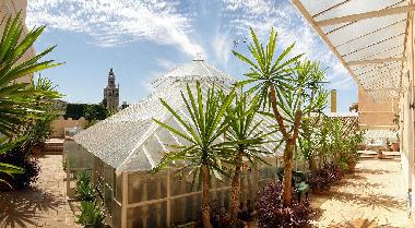 Holiday Apartment in SEVILLA (Sevilla) or holiday homes and vacation rentals
