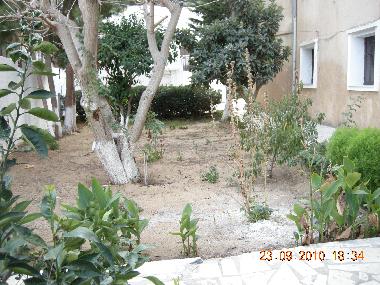 Holiday House in Bizerte (Banzart) or holiday homes and vacation rentals