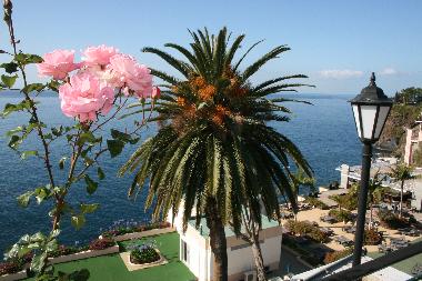 Holiday Apartment in Funchal (Madeira) or holiday homes and vacation rentals